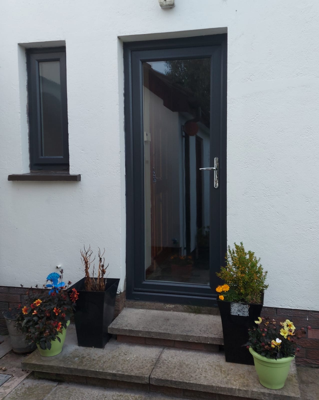 Back_Doors